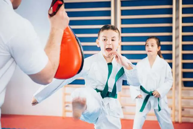 Preschool Martial Arts Classes | Lake Zurich Family Martial Arts