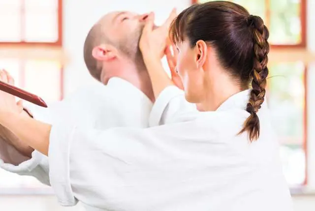 Adult Martial Arts Classes | Lake Zurich Family Martial Arts